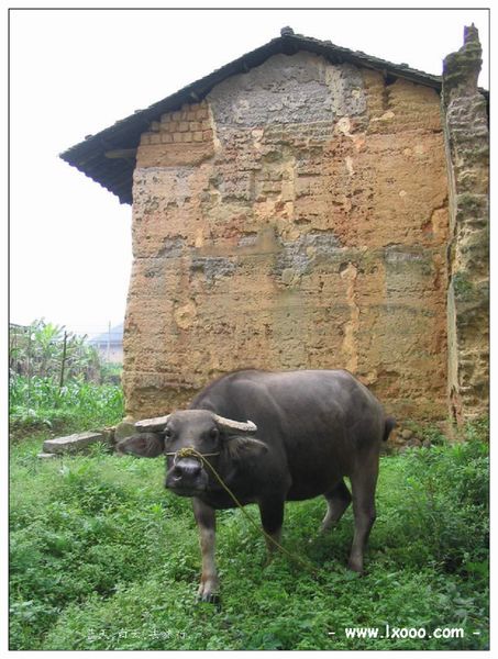 hakka-house-06-09