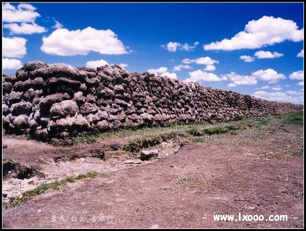 yak-feces-nagqu-tibet