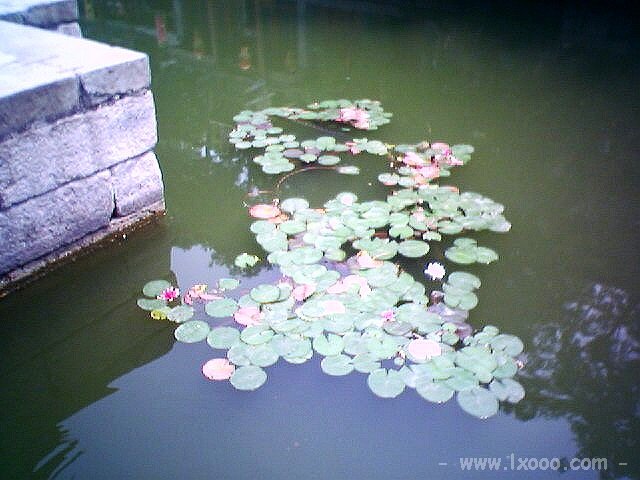 beijing-yiheyuan-07