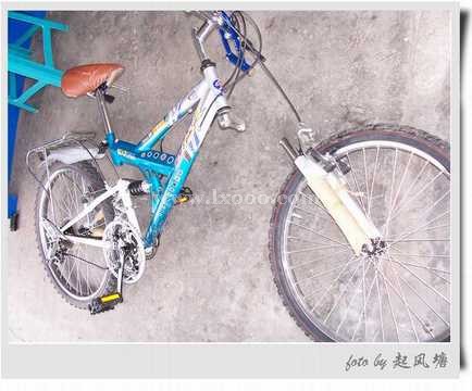 bicycle-shenzhen-6