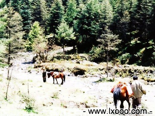 sichuan-yaan-yaojipengcuo-10