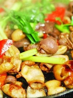 panyu-zhuza