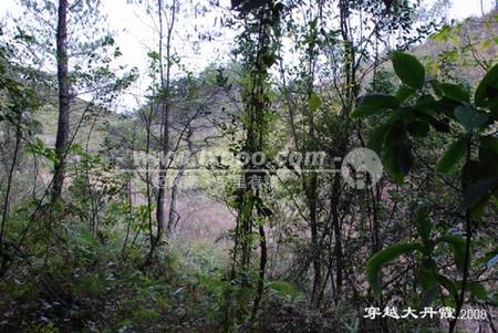 danxiashan2008212