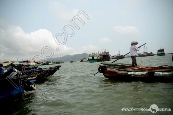 nanpeng05