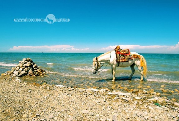 qinghai