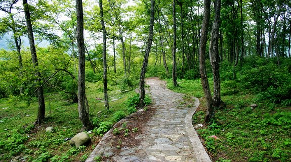 fanjingshan-
