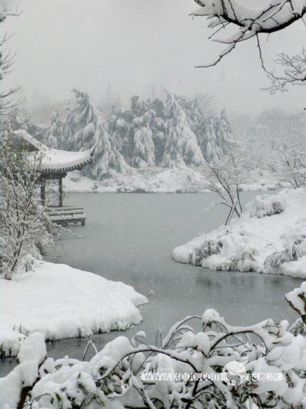 xihu-sonw-06