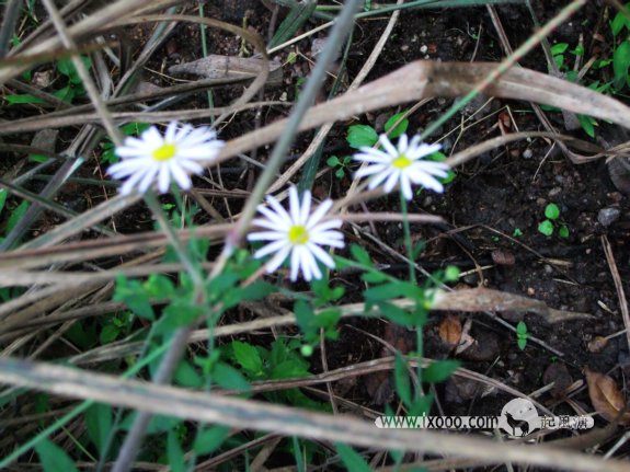 dscf0851