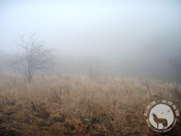 hhgd-qlf_20