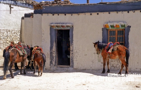 tibetan-dwellings-04