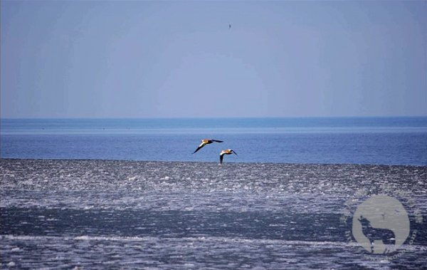 travel2009_018