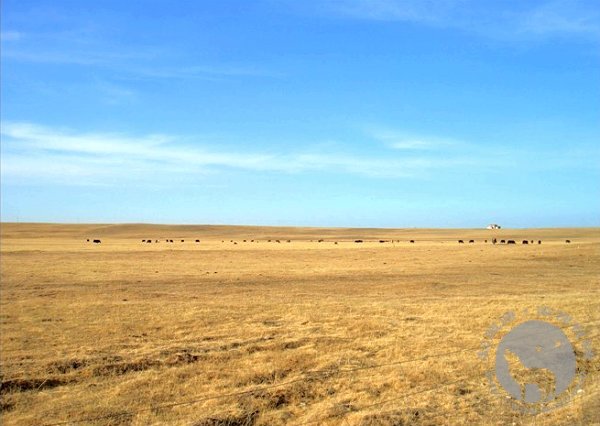 travel2009_019