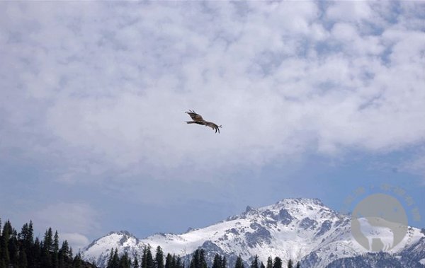travel2009_052