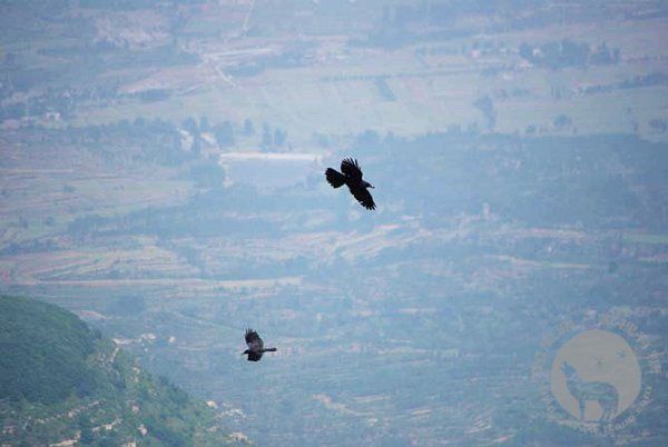 travel2009_099