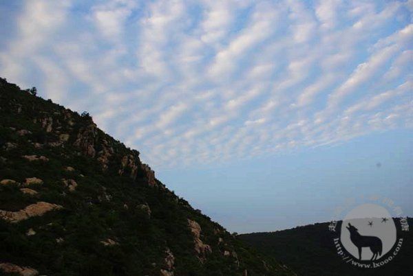 travel2009_100
