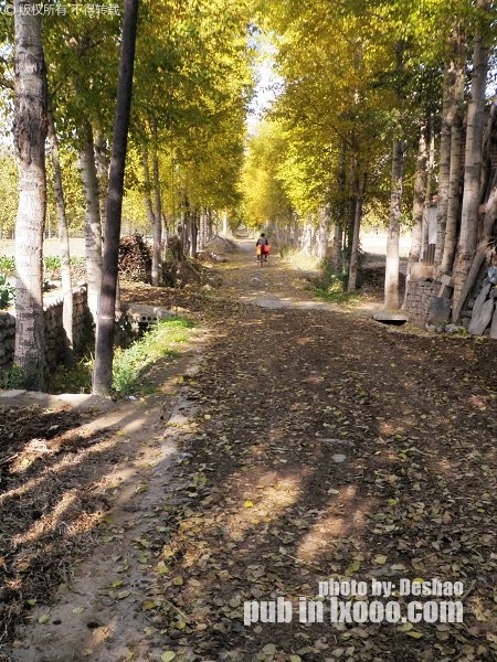 qinghai-lake-07