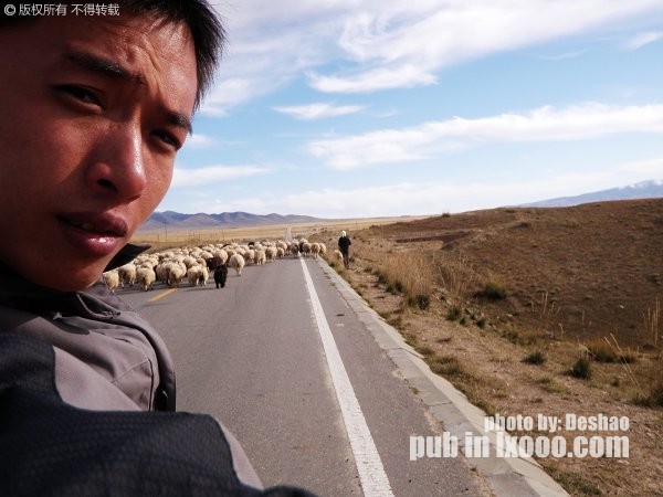 qinghai-lake-11