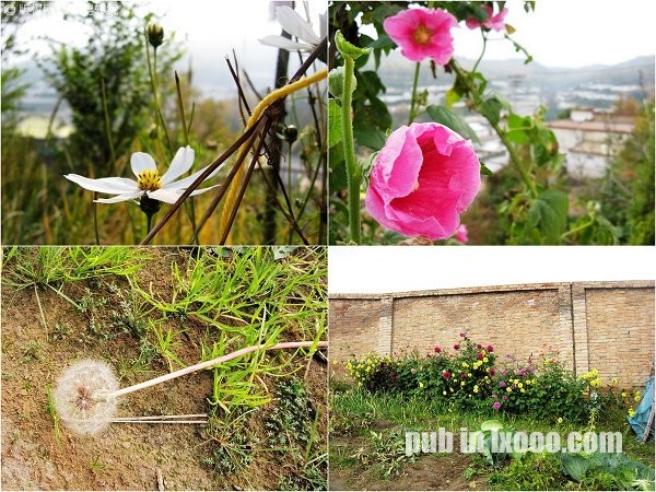 return-to-xining-09