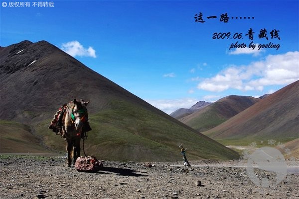 travel2009_201