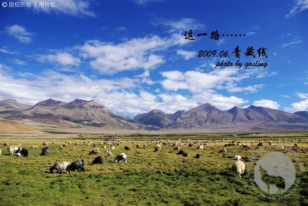 travel2009_203
