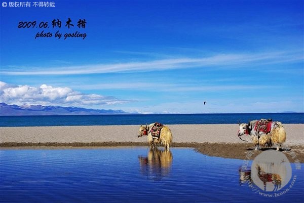 travel2009_227