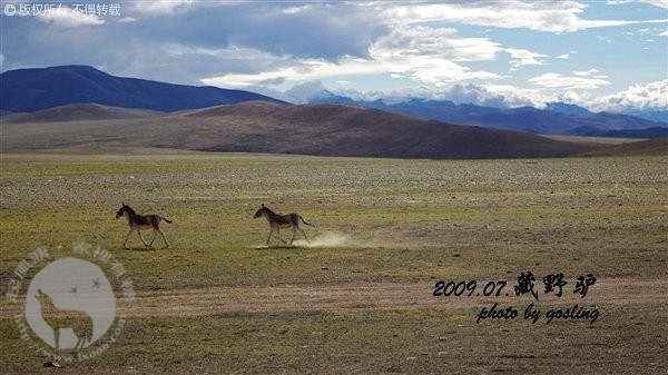 travel2009_231