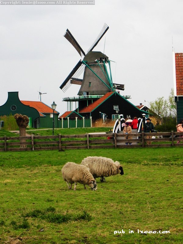 ranch-area