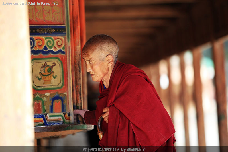 lama