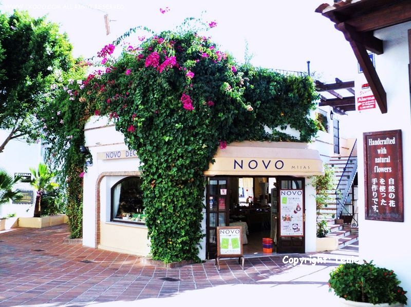 Olive_oil_soap-candles_shop