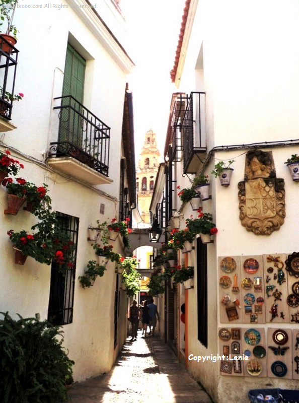 Cordoba_Lane_Flowers